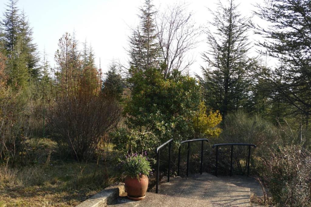 Villa La Lurette, Appartement Et Studio Saint-Étienne-les-Orgues Exteriör bild