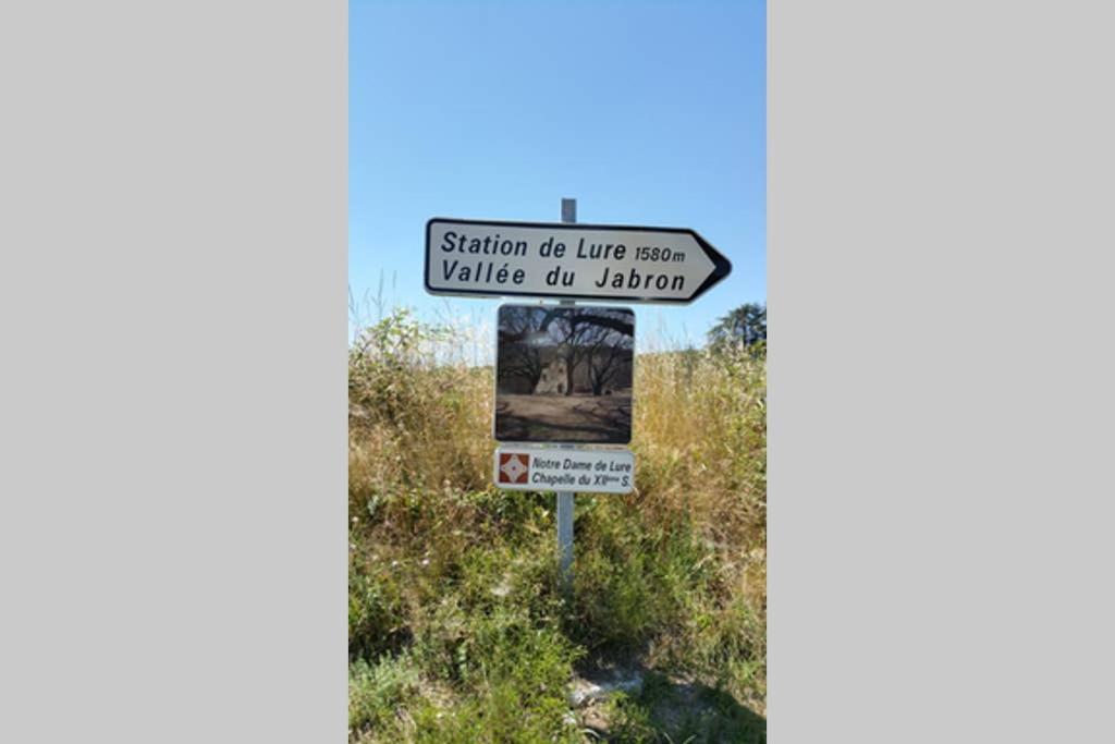 Villa La Lurette, Appartement Et Studio Saint-Étienne-les-Orgues Exteriör bild