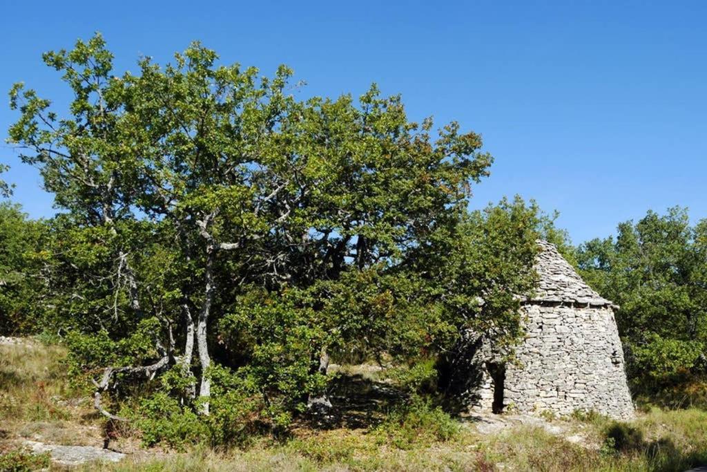 Villa La Lurette, Appartement Et Studio Saint-Étienne-les-Orgues Exteriör bild